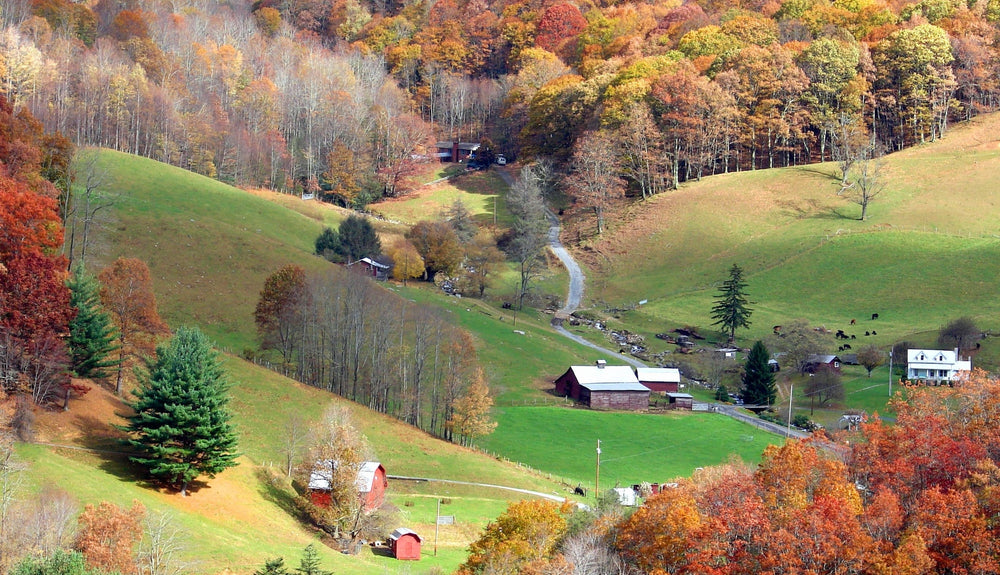 Vacation home in Maggie Valley