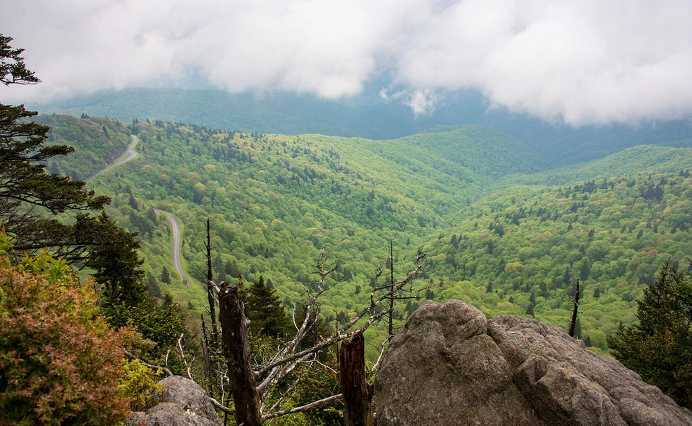 Mountain view from Waterrock Knob