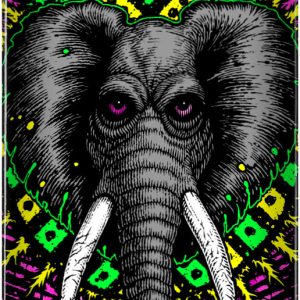 PP FLIGHT MV Elephant P Foil 8.38