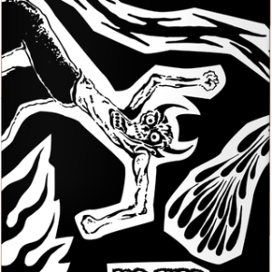 Jacopo Carozzi Divine Evil Deck 8.25
