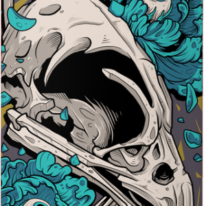 Tony Hawk Tillbrook Deck 8.25